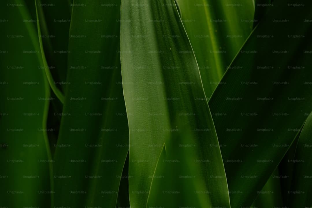 盯着拾荒老人不放，是怜悯？还是想遮羞？